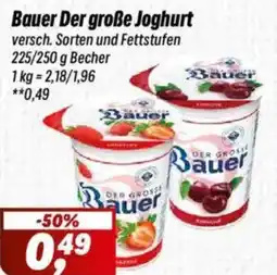 Simmel Bauer Der große Joghurt Angebot