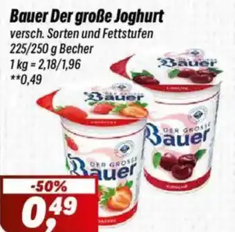 Simmel Bauer Der große Joghurt Angebot
