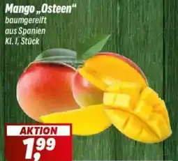 Simmel Mango „Osteen" Angebot