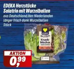 Simmel EDEKA Herzstücke Salatrio mit Wurzelballen Angebot
