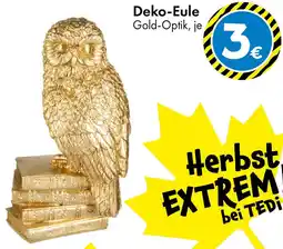 TEDi Deko-Eule Angebot