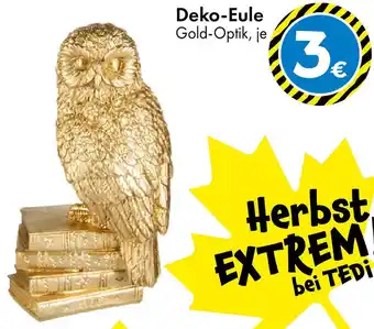 TEDi Deko-Eule Angebot