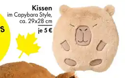 TEDi Kissen Angebot