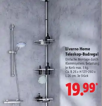Lidl Livarno Home Teleskop-Badregal Angebot