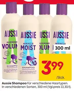 Rusta Aussie Shampoo Angebot
