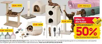 Rusta Schnäppchen für aktive Stubentiger! Angebot