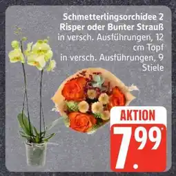 Edeka Schmetterlingsorchidee 2 Risper oder Bunter Strauß Angebot