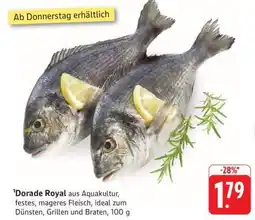 Edeka Dorade Royal Angebot
