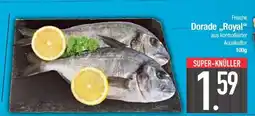 Edeka Frische Dorade Royal Angebot