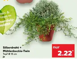 Kaufland Silberdraht + Mühlenbeckie-Twin Angebot