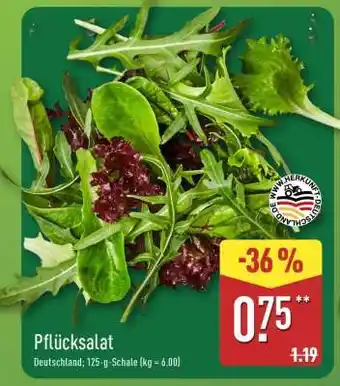Aldi Nord Pflücksalat Angebot