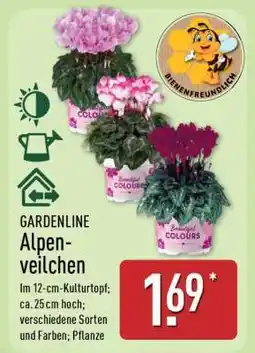 Aldi Nord GARDENLINE Alpenveilchen Angebot