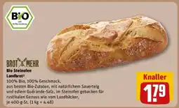 REWE Bio Steinofen Landbrot Angebot