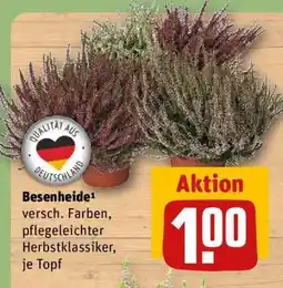 REWE Besenheide Angebot