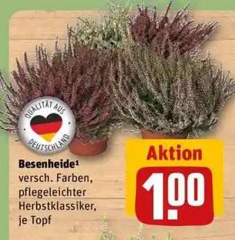 REWE Besenheide Angebot