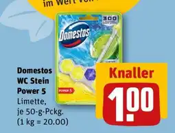 REWE DOMESTOS WC-Stein Power 5 Angebot