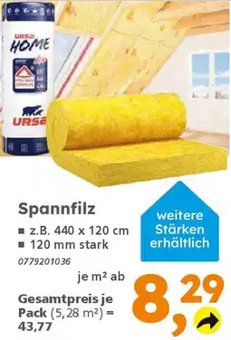Globus Baumarkt Spannfilz Angebot