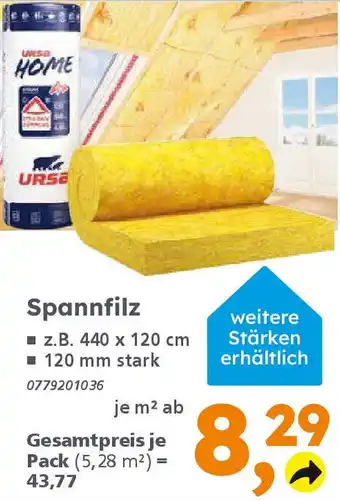 Globus Baumarkt Spannfilz Angebot