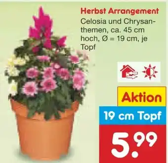 Netto Marken-Discount Herbst-Arrangements Angebot