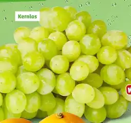 PENNY Tafeltrauben Angebot