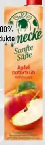 trinkgut Amecke Fruchtsaft Angebot
