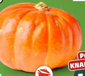 PENNY Naturgut Bio-Hokkaidokürbis Angebot