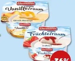 PENNY Ehrmann Vanille Traum Angebot