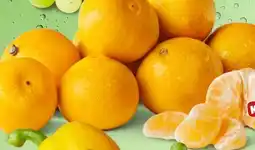 PENNY Satsumas Angebot