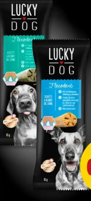 PENNY Lucky Dog Flexodent Hunde-Snack Angebot