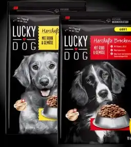 PENNY Lucky Dog Herzhafte Brocken Angebot