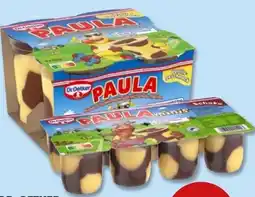 PENNY Dr. Oetker Paula Pudding Angebot