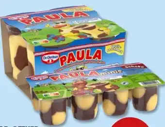PENNY Dr. Oetker Paula Pudding Angebot