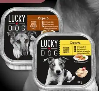 PENNY Lucky Dog Ragout Angebot