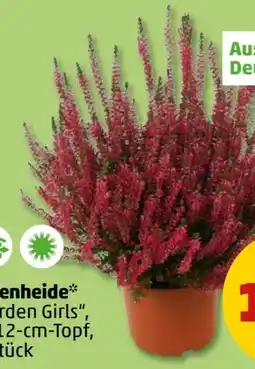 PENNY Besenheide Garden Girls Angebot