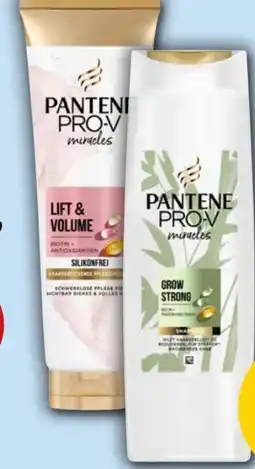 PENNY Pantene Pro-V Miracles Pflegespülung Angebot