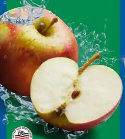 Lidl Bio Wetteräpfel Angebot