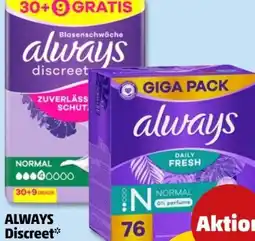 PENNY Always Slipeinlagen Gigapack Angebot