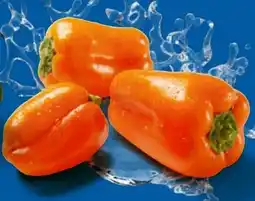 Lidl Tatayoyo Orangene Mini Paprika Angebot