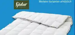 Lidl Fjödur 4-Jahreszeiten-Daunendecke Angebot