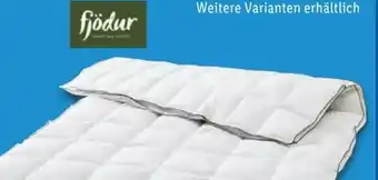 Lidl Fjödur 4-Jahreszeiten-Daunendecke Angebot