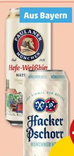 PENNY Paulaner Hefe-Weißbier Naturtrüb Angebot