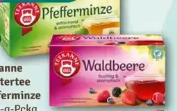 nahkauf Teekanne Kräutertee Pfefferminze Angebot