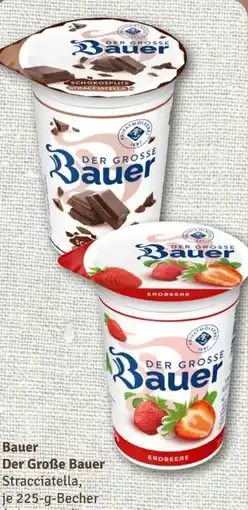 nahkauf Bauer Der Große Angebot
