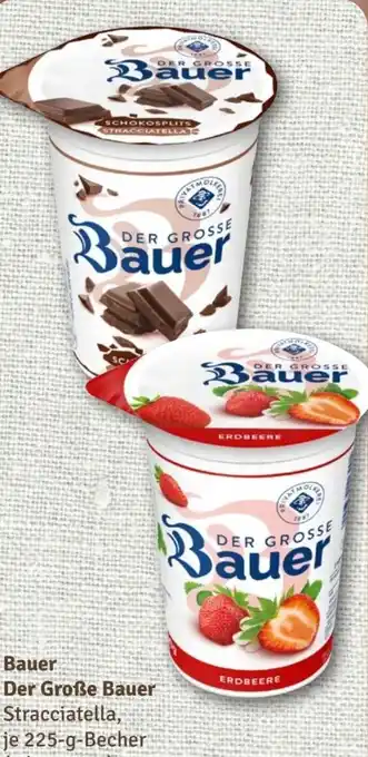 nahkauf Bauer Der Große Angebot