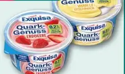 nahkauf Exquisa Quark Genuss Angebot