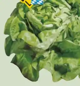 Edeka Xpress Kopfsalat Angebot
