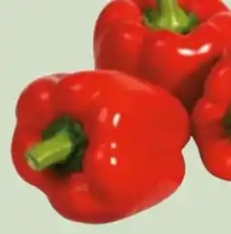 Edeka Xpress Gut & Günstig Paprika Rot Angebot
