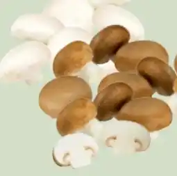 Edeka Xpress Champignons Angebot