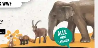 Edeka Xpress Schleich Tierischer Sammelspaß Angebot