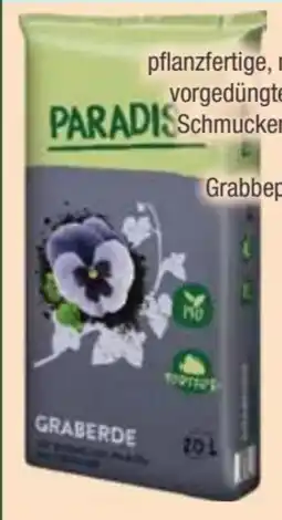 E-Center Graberde Angebot